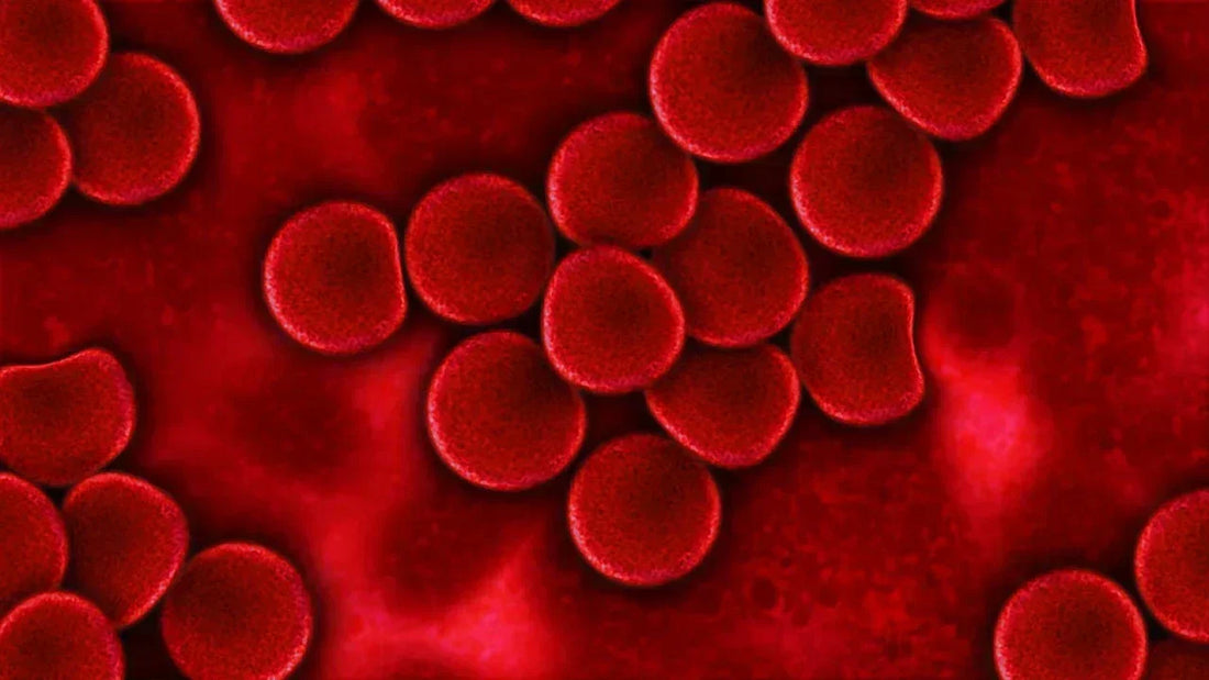 Blood Test for Cancer: A Diagnostic Revolution That Could Save Millions of Lives